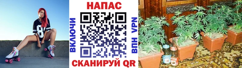 ЭКСТАЗИ Нефтеюганск
