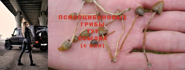 первитин Кинешма