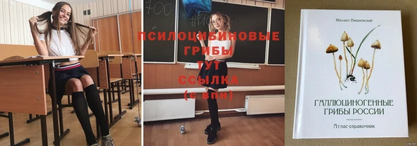 первитин Кинешма